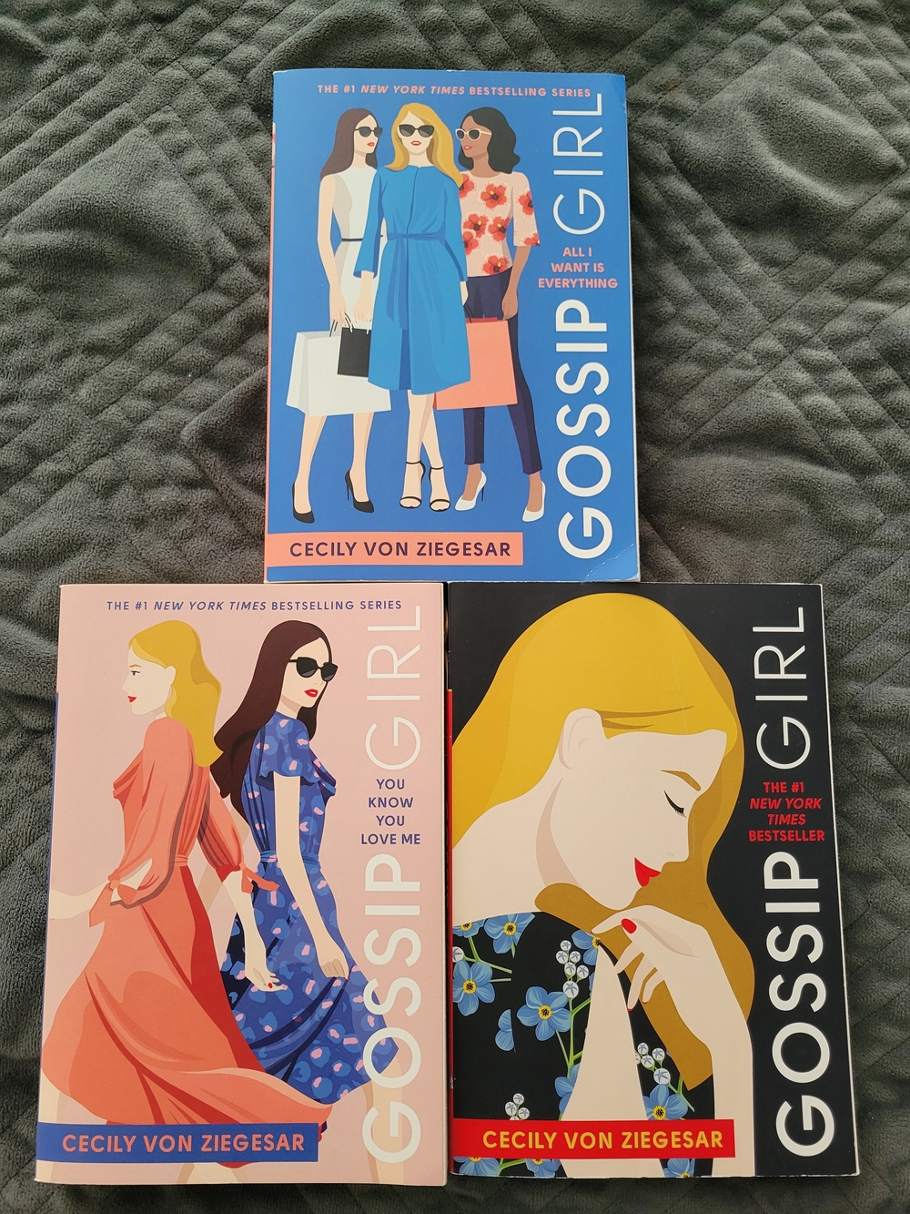 Gossip Girl Book Set by Cecily von Ziegesar